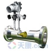 天康V錐流量計 天康V錐流量計